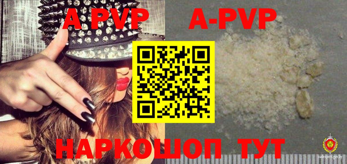 Alfa_PVP СК Абакан