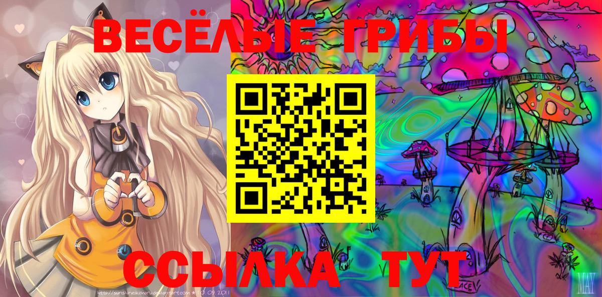 Псилоцибиновые грибы ЛСД Абакан